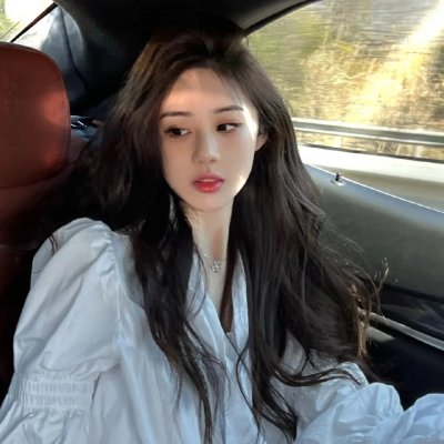 征服北极的人 在线观看封面