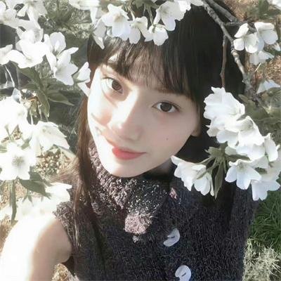 圈套3 在线观看封面