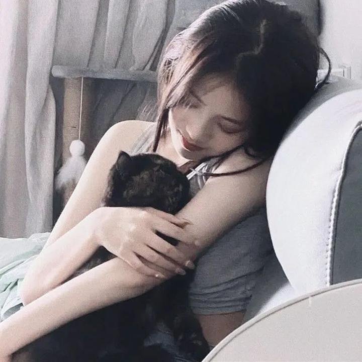 樱，重逢的加奈子 在线观看封面